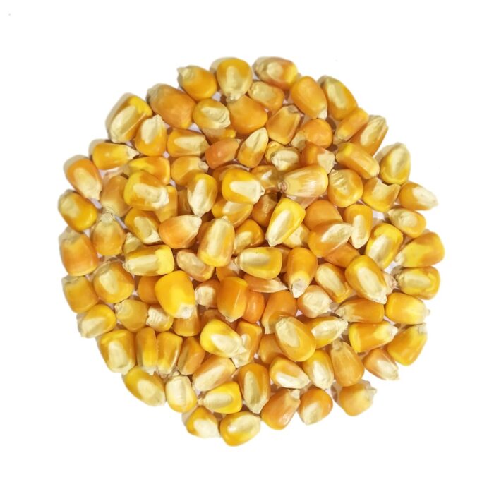 maiz-entero-para-aves-sunseed-25kg Maíz Entero 30kg