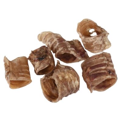 traquea de vacuno Tráquea de Vacuno