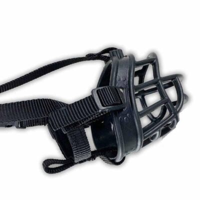 bozal ulises Bozal Ulises