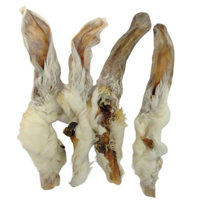 Oreja de Conejo con Pelo