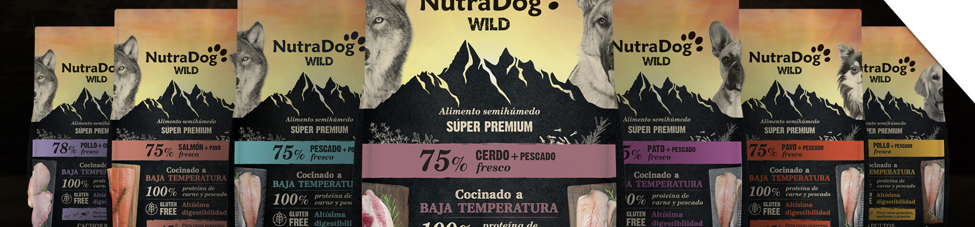 Architecture Architecture