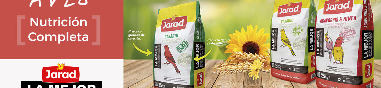 Architecture Architecture