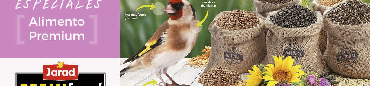 banner-nuevo-premifood-semillas