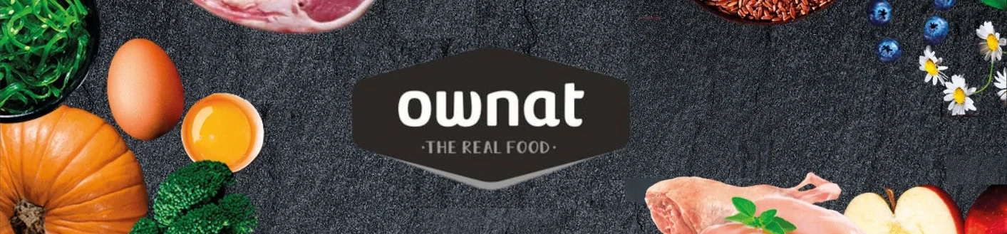 banner ownat 1
