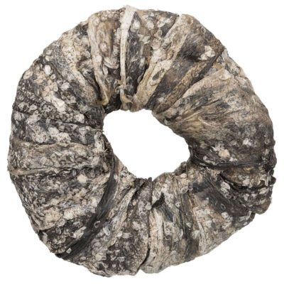 Donut de Piel y Pescado